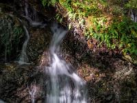 Kaskade unter Farnen in einem Seitenbach